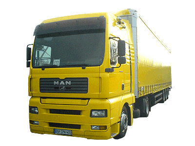 Dingolfinger Transport GmbH