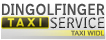 Dingolfinger Taxiservice